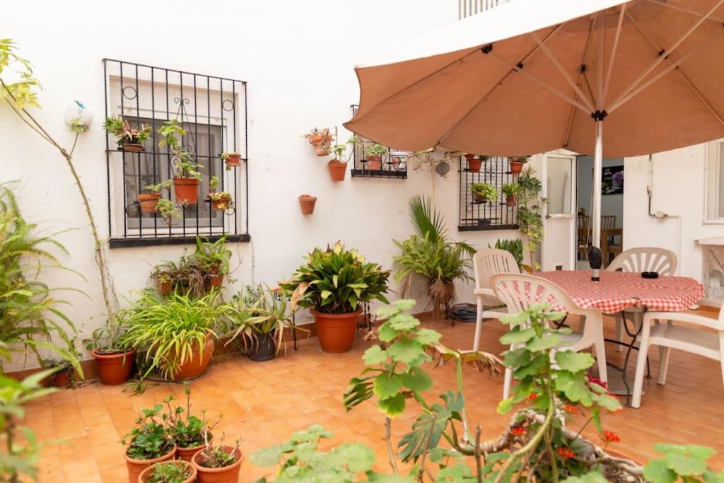Apartamento El Patio De La Vina By Gades Gestion Cádiz Exterior foto